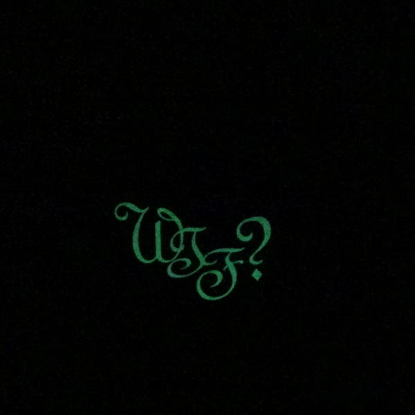 WTF? Black Hoodie Make a Statement "What The Fu#$?" Red and GLOW in the Dark