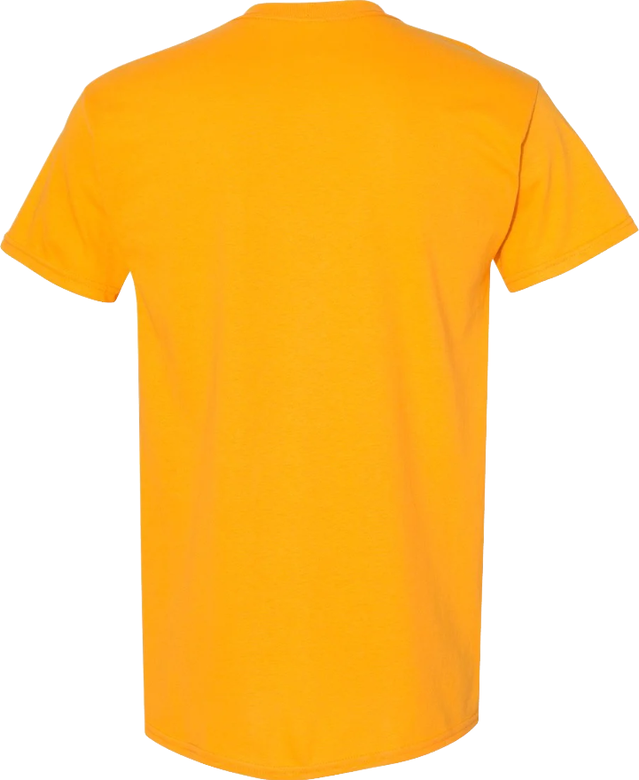 Blank Short Sleeve T-Shirt 5.3oz Heavy Cotton, Ready for Design