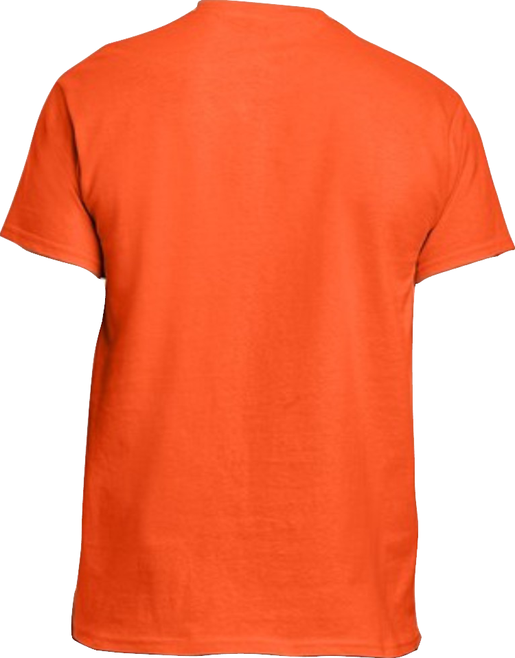Blank Short Sleeve T-Shirt 5.3oz Heavy Cotton, Ready for Design