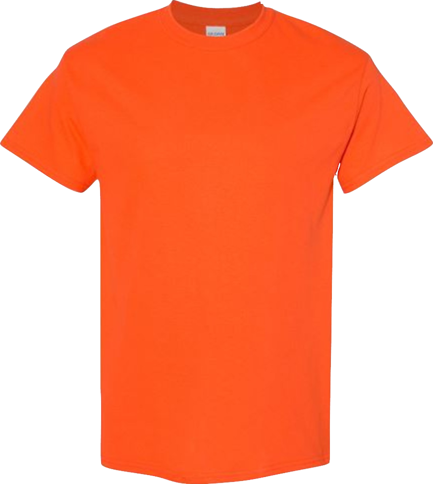 Blank Short Sleeve T-Shirt 5.3oz Heavy Cotton, Ready for Design