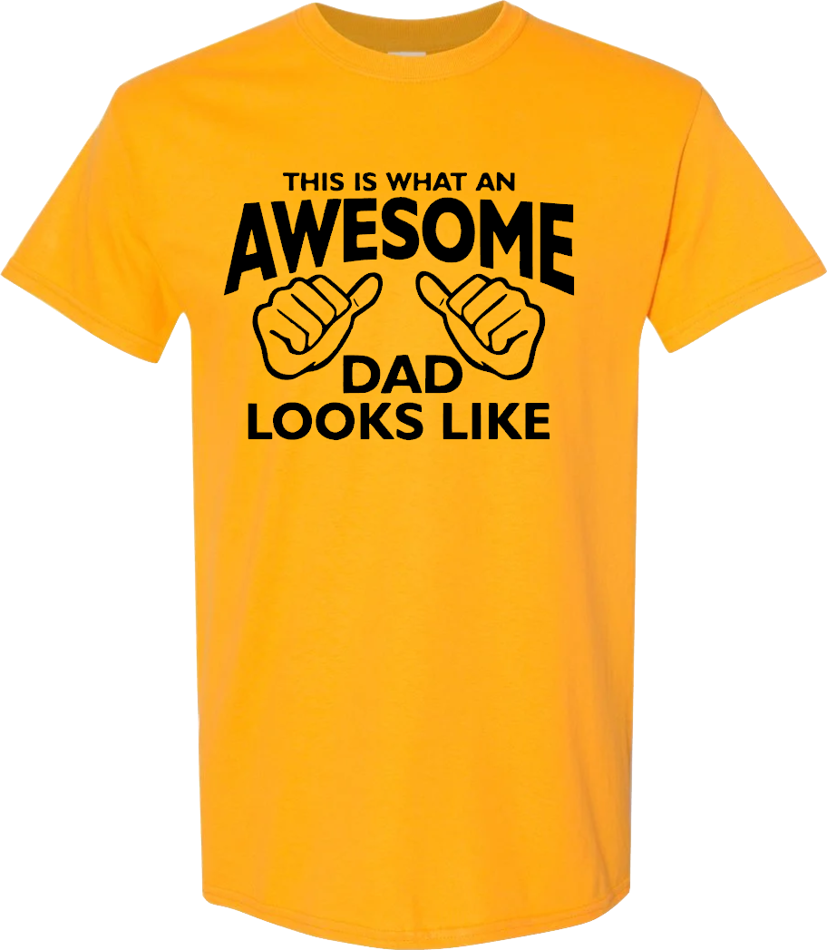 This Is What An Awesome Dad Looks Like T-Shirt
