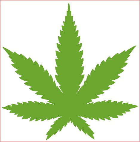 Weed Pot Marijuana VINYL Decal, WEED LEAF, Green 3"